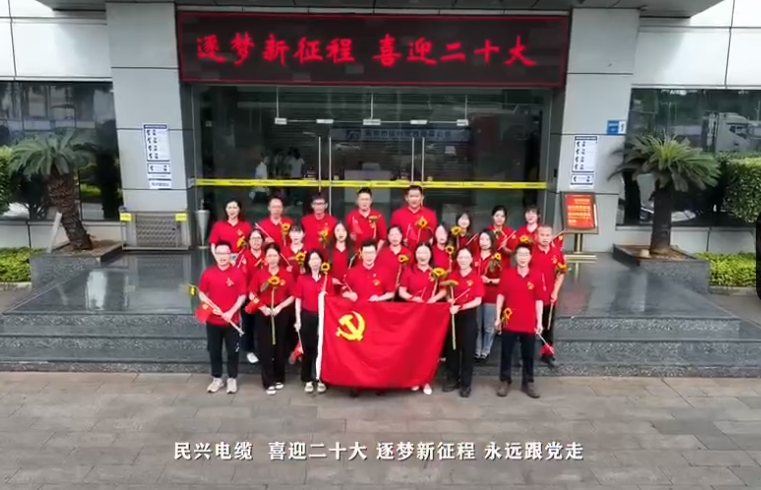 民興電纜喜迎二十大，奮進新征程！
