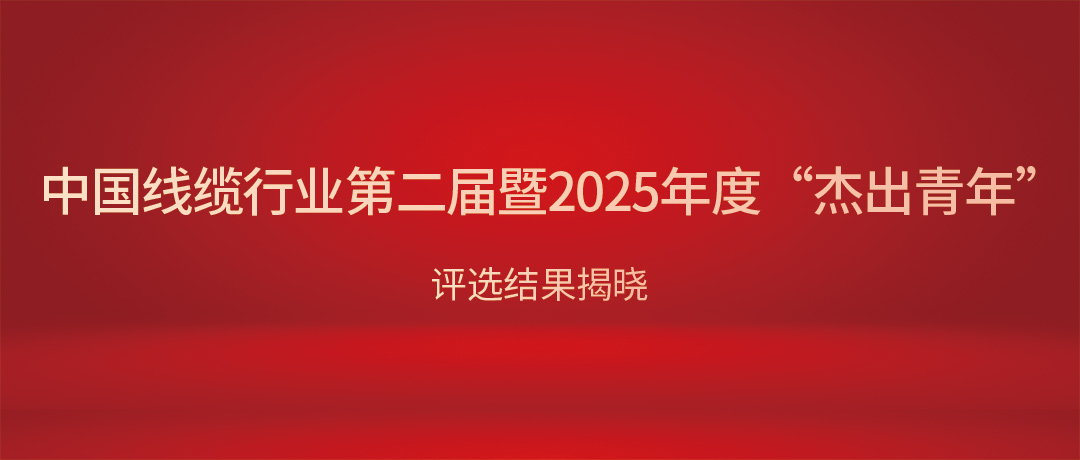熱烈祝賀民興電纜總經(jīng)理?xiàng)顝s獲中國(guó)線(xiàn)纜行業(yè)“杰出青年”！